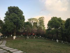 -重庆市江北嘴中央商务区中央公园