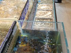 -宁海食府(大剧院店)