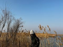 -盐城丹顶鹤湿地生态旅游区