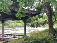 -杭州植物园