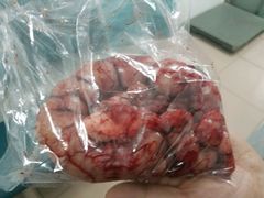 -北京观赏动物医院·24小时大型综合·猫专科·异宠专科