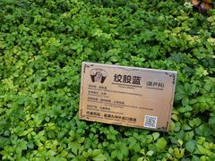 -广州神农草堂中医药博物馆