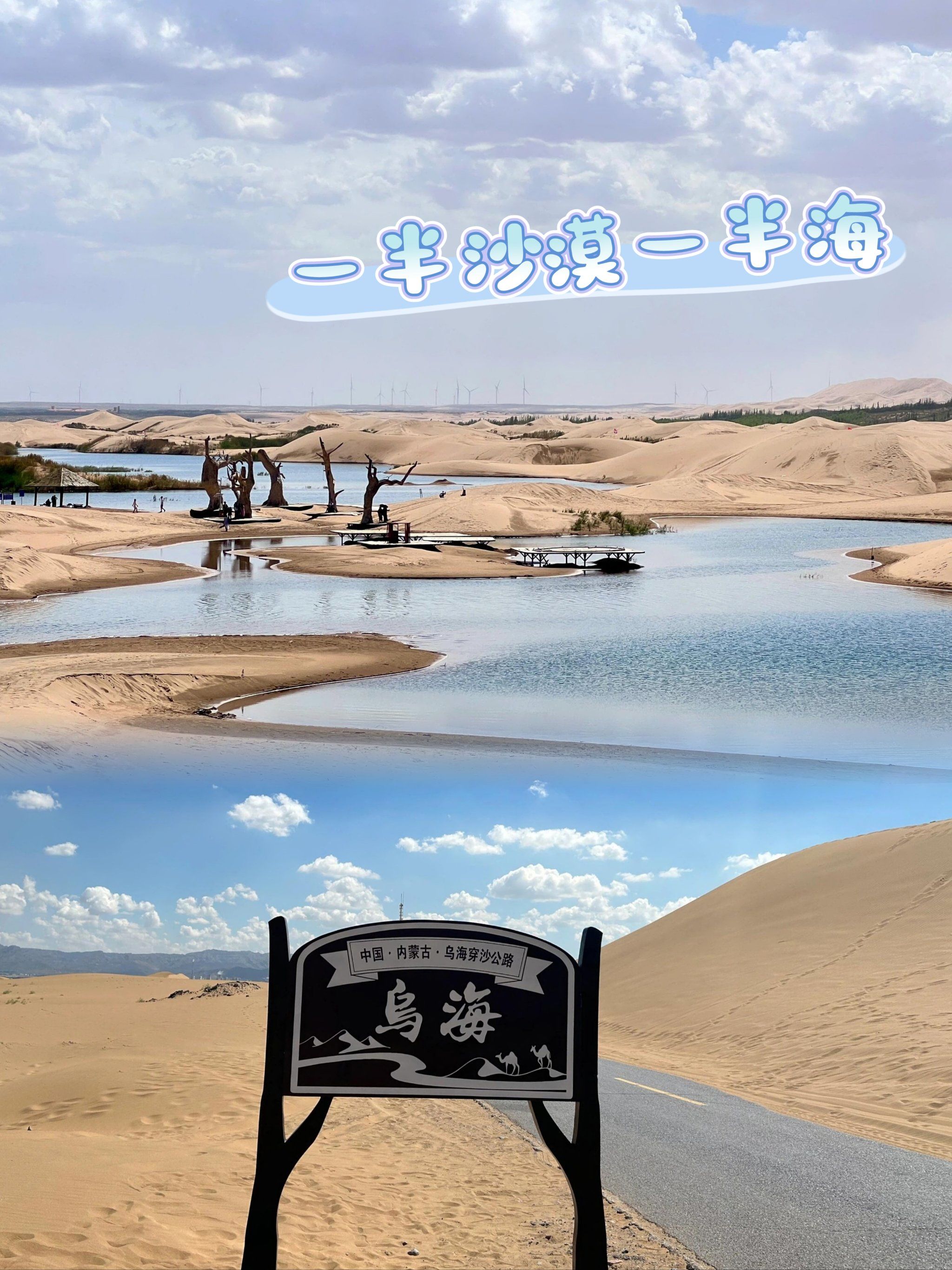 乌海探秘之旅:沙漠与海的交响曲 🌟