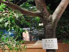 -中国沉香文化博物馆