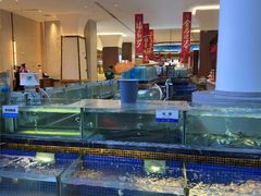 -欢乐海岸美食联盟