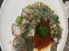 -觅唐MITONG(鸟巢店)