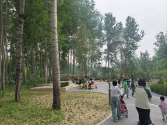 -仁和公园(顺义区)