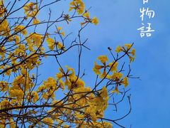 -洲头咀公园