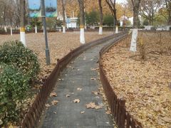 -康庄公园