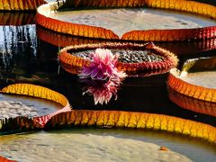 -国家植物园南园