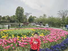 -金卉庄园