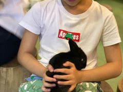 -藦茜花园宠物主题亲子互动体验馆(国顺东路店)