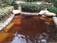 -天目湖涵田半山温泉