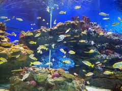 -海合安成都极地海洋公园