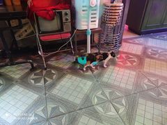 -黄师傅湿辣牛肉(胡桃里店)