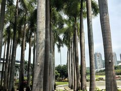 -深圳国际园林花卉博览园