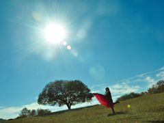 -塞罕坝国家级自然保护区