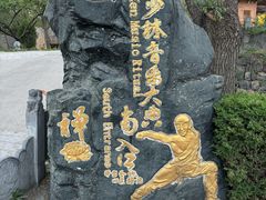 -禅宗少林·音乐大典