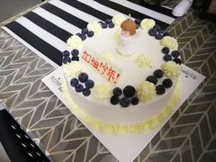 -维尔纳斯·生日蛋糕动物奶油冰淇淋蛋糕(人大店)