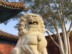 -戏马台景区