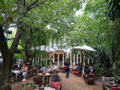 -Fern Forest Cafe
