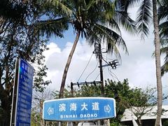 -万绿园