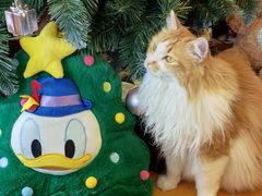 -氷冰凉刨冰甜品(北京路店)