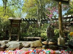 -张家港金凤凰度假村温泉