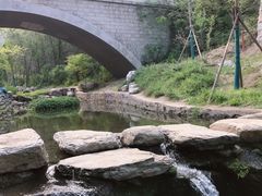 -白水寺森林公园