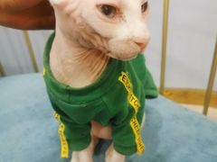 -BABIT巴比特宠物(MOMOPARK店)