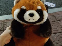 -杭州野生动物世界