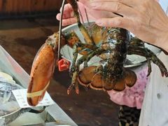 -威海九禧海鲜居渔水饺(经区店)