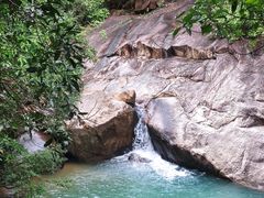 -广州白江湖森林公园