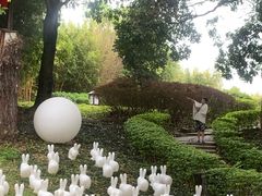 -森波拉火山温泉