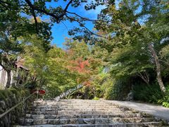 -三千院
