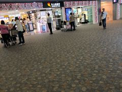 -上海浦东国际机场-T2航站楼
