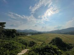 -石塘人家