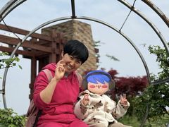 -田螺阿姨自营月嫂·育儿嫂(高新店)