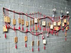 -小洲村