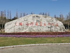 -上海海湾国家森林公园