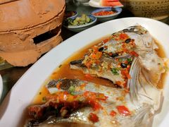 -印象鲵宴·张家界地标美食名片(溪布街店)