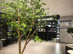 -付军剪艺JF ProSalon