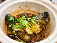 姜母龙胆斑-鑫鸿达·海鲜闽菜热炒小馆(中山路店)