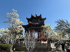 -济南大明湖景区