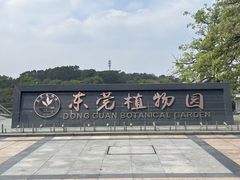 -东莞植物园