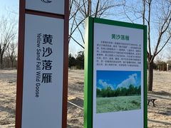 -东郊湿地公园
