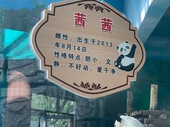 -大青山野生动物园