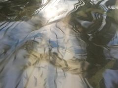 -龙达温泉生态城