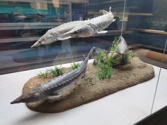 -武汉园博园(武汉自然博物馆)