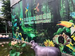 -正佳雨林生态植物园